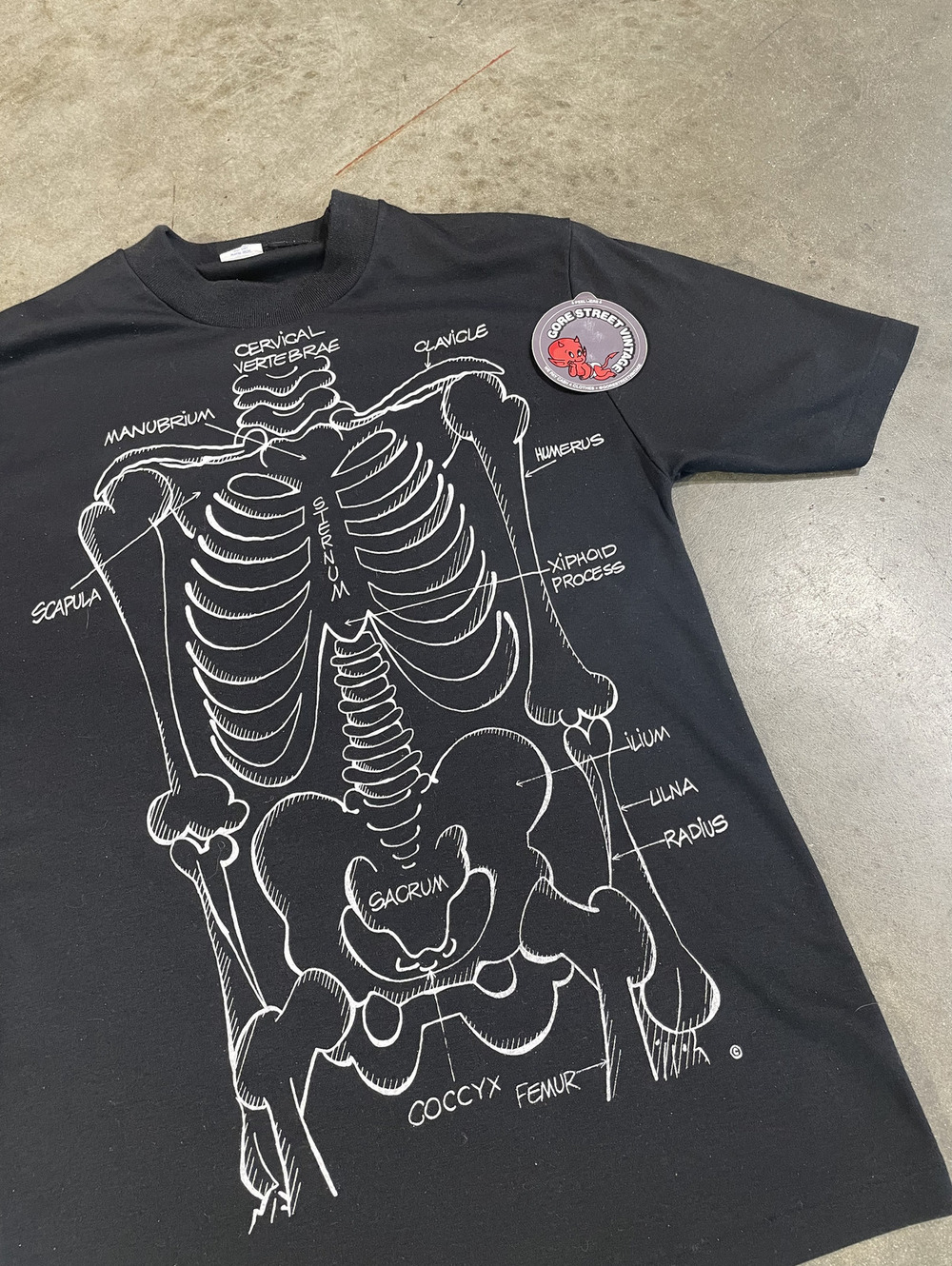 Vintage 90s Skeleton Skull Anatomy single stitch Tee S 17x26